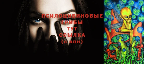 герыч Бронницы