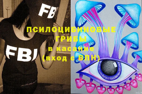 экстази Бородино