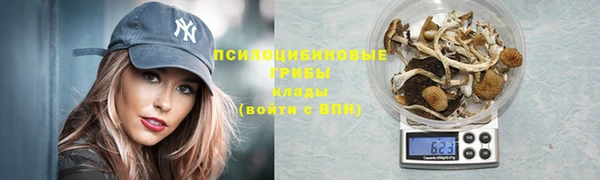 экстази Бородино