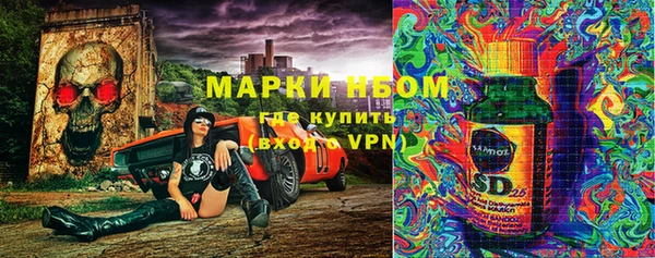 экстази Бородино