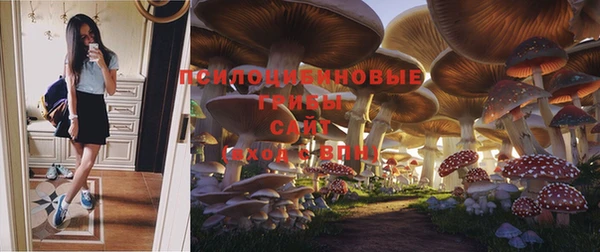экстази Бородино