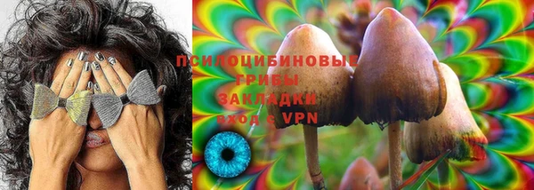 герыч Бронницы